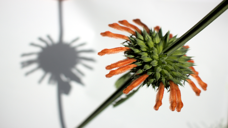 Holdfotobilledkunst&Fotografi