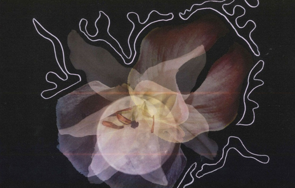 08FBCAB8 931A 417D 8FEA 6B36B000E9D4