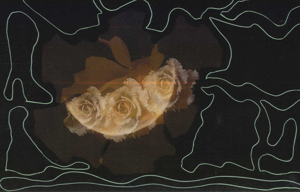 15ADEC71 75A5 4415 B0CB 1C23FA559D64