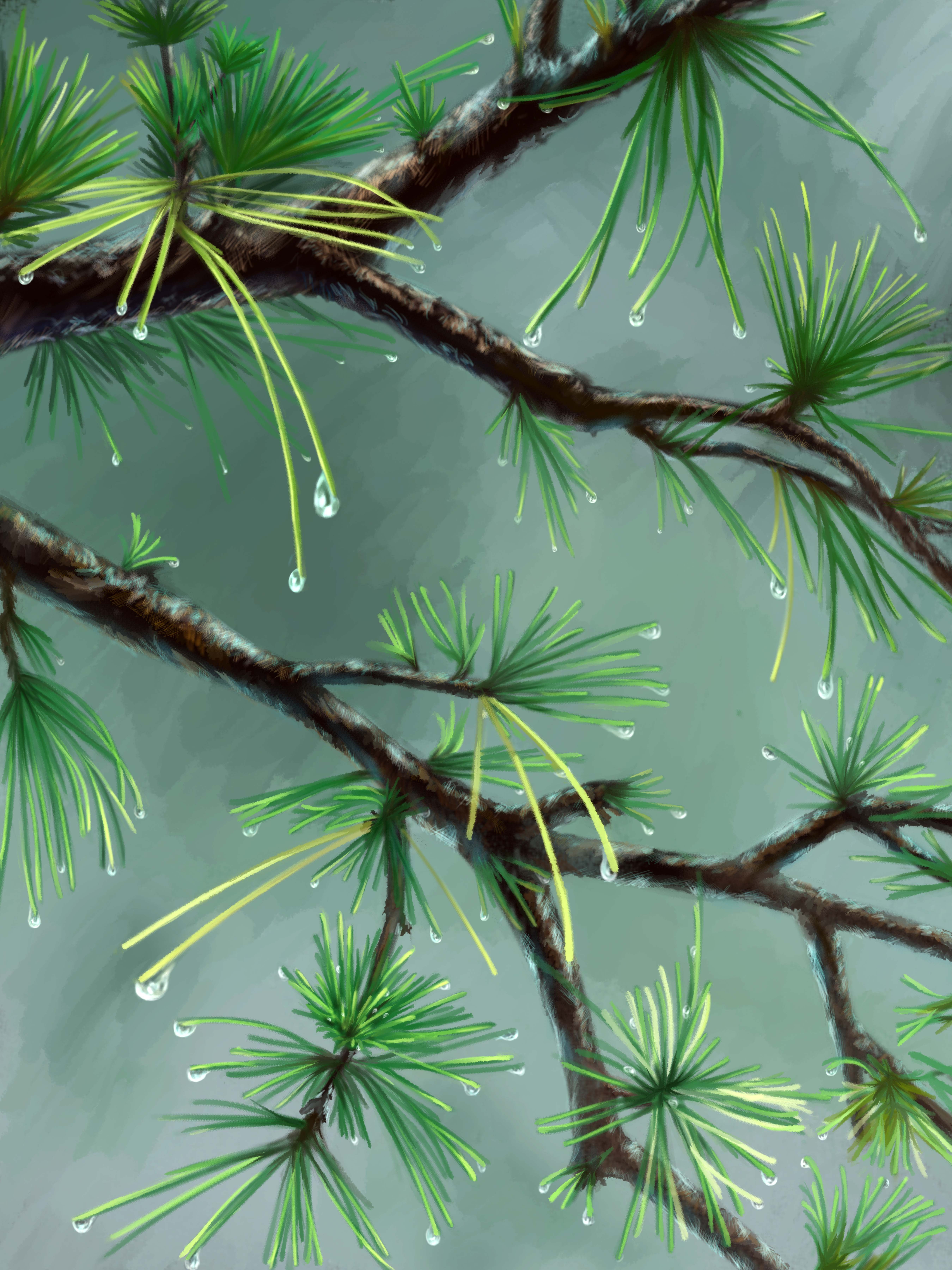 Natur
